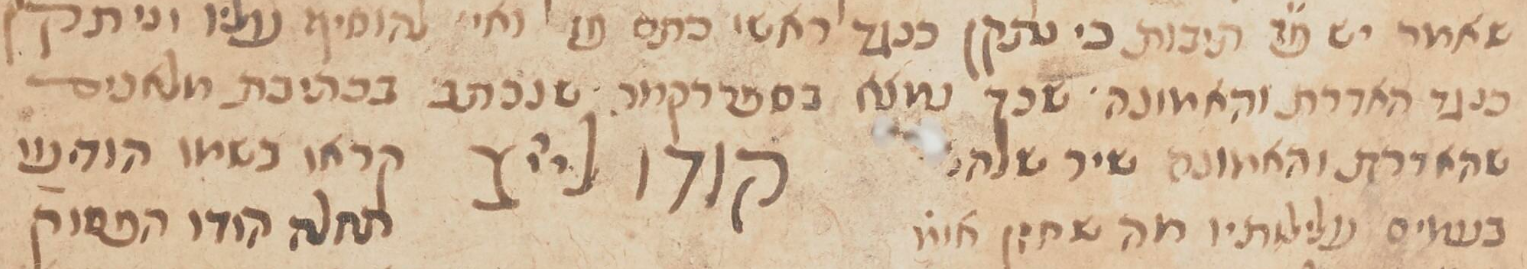 2024-05-27 12_38_04-nli.org.il_he_discover_manuscripts_hebrew-manuscripts_viewerpage_vid=MANUSCRIPTS.png