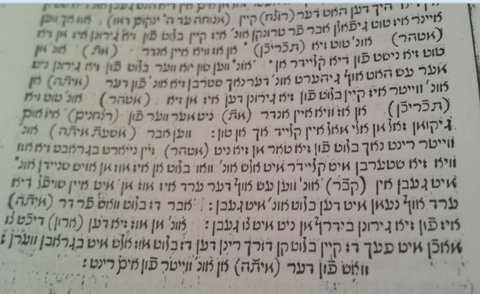 נהרג22.PNG