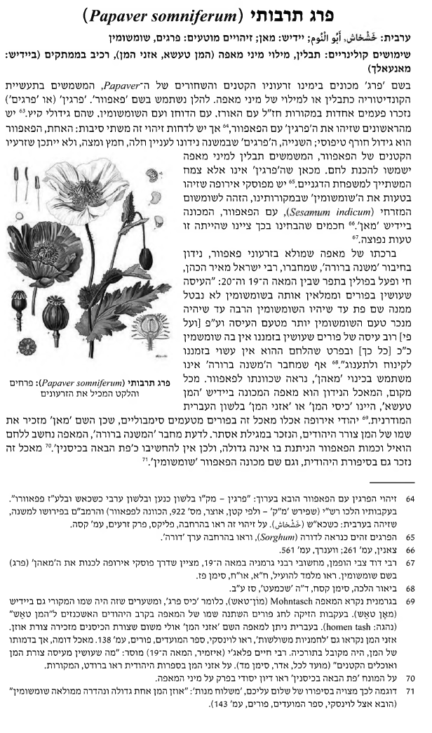 א''א שמש, צמחים מאכלים ודפוסי אכילה בספרות הברכות, עמ' 334-335.png