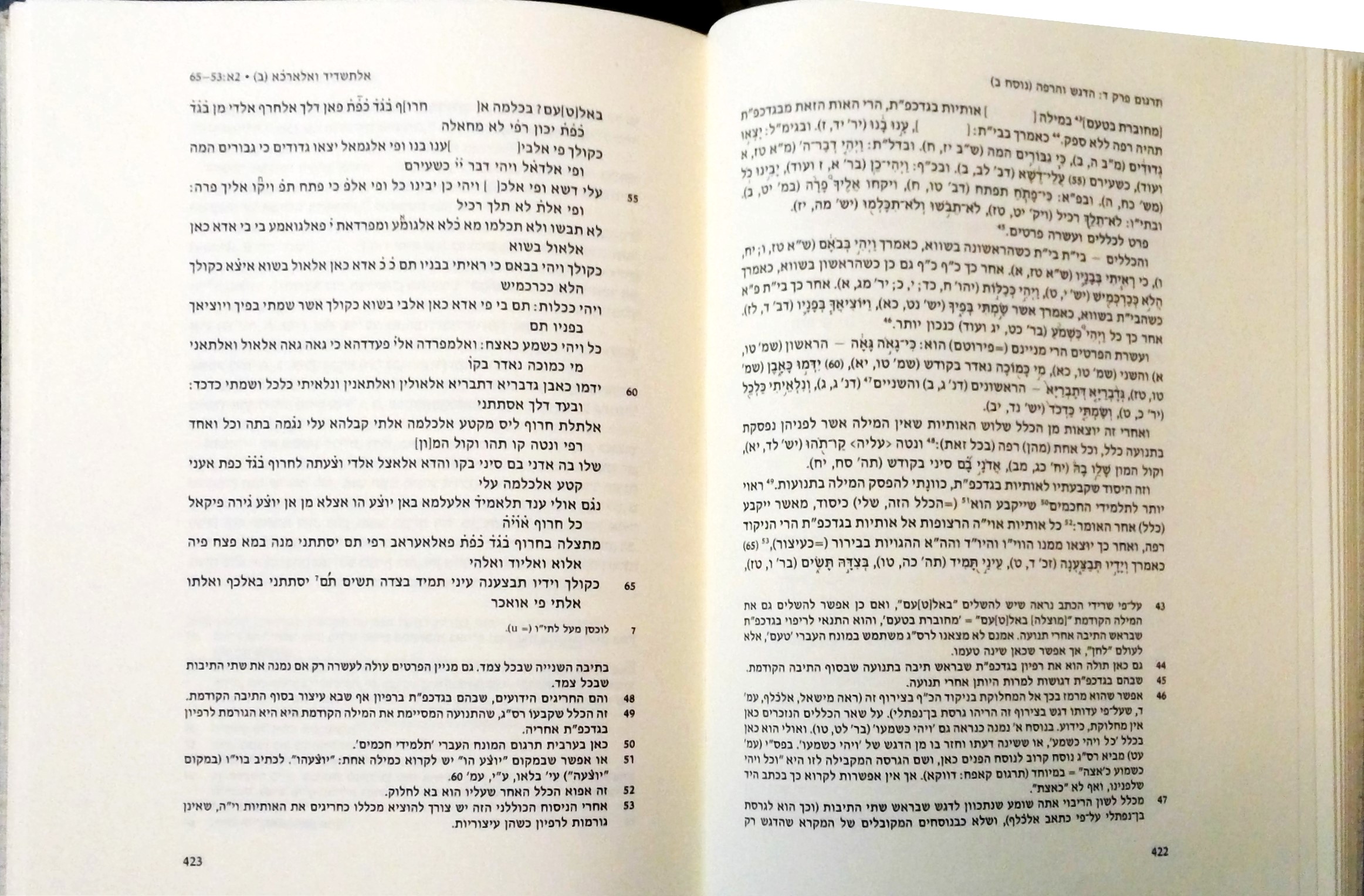 רס''ג אור ראשון בחכמת הלשון ספר צחות לשון העברים (א דותן) פרק ד - הדגש והרפה עמ' 222-223.jpg