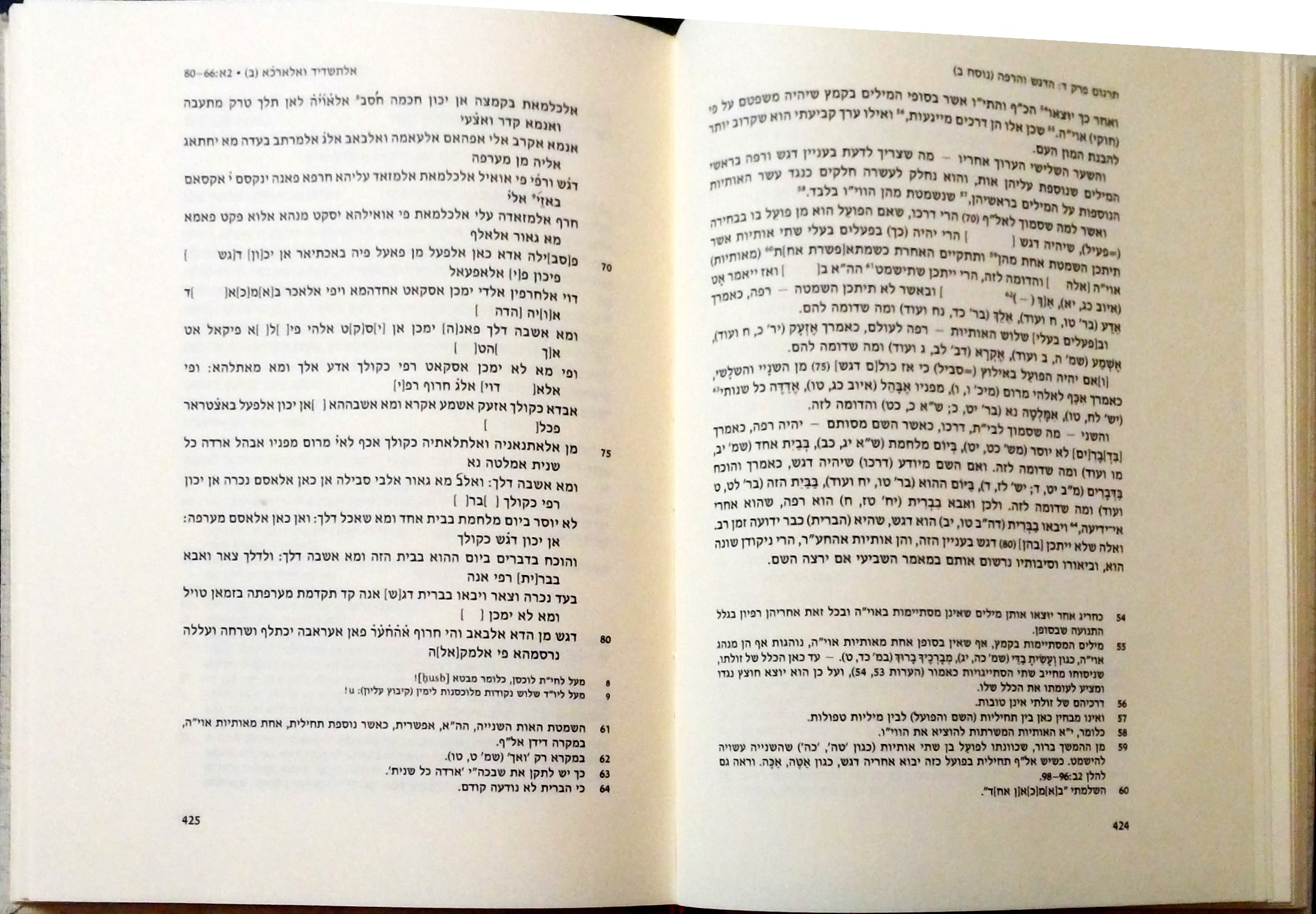 רס''ג אור ראשון בחכמת הלשון ספר צחות לשון העברים (א דותן) פרק ד - הדגש והרפה עמ' 224-225.jpg